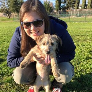 Meet your Posher, Brittany